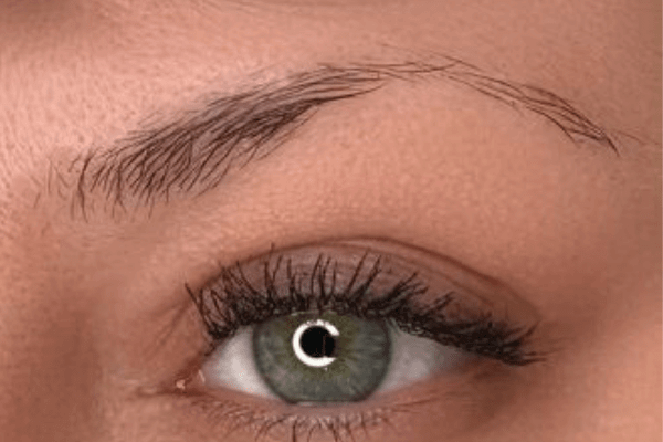 Hairstrokes Before Permanent Makeup Hairstrokes Before Permanent Makeup