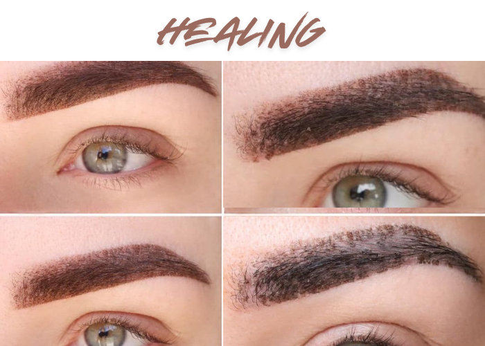 Permanent Makeup (PMU) Step-by-Step Healing Process