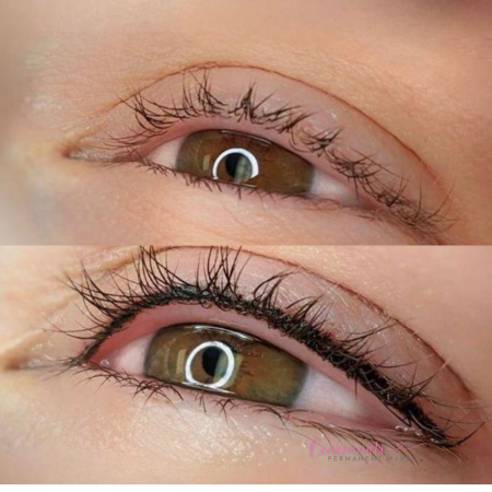 Lash Line 1 (1)